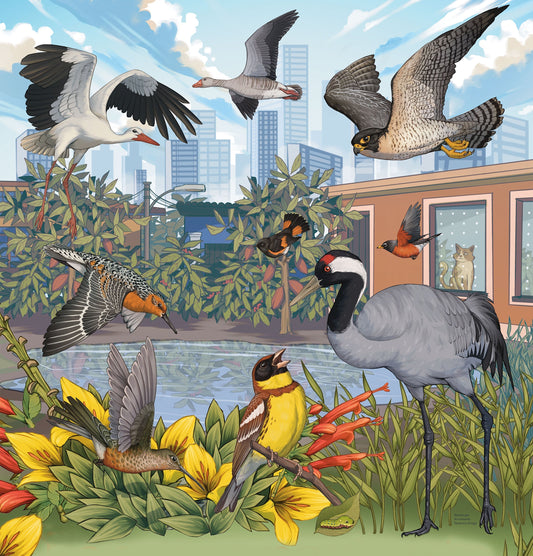 Shared Spaces: Creating Bird Friendly Cities & Communities