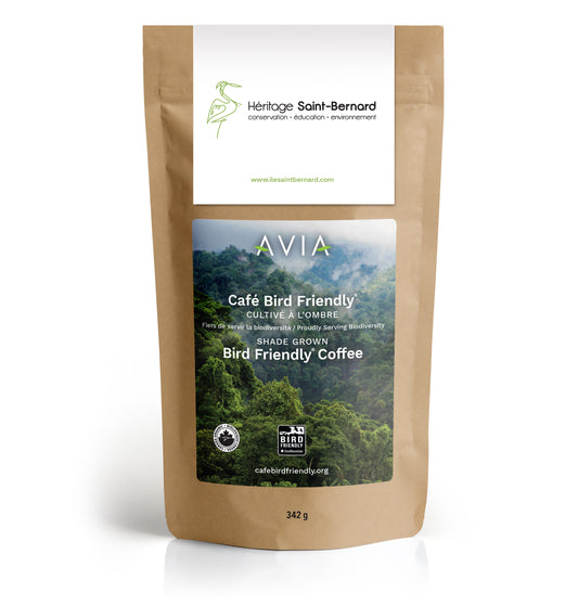 Héritage Saint-Bernard