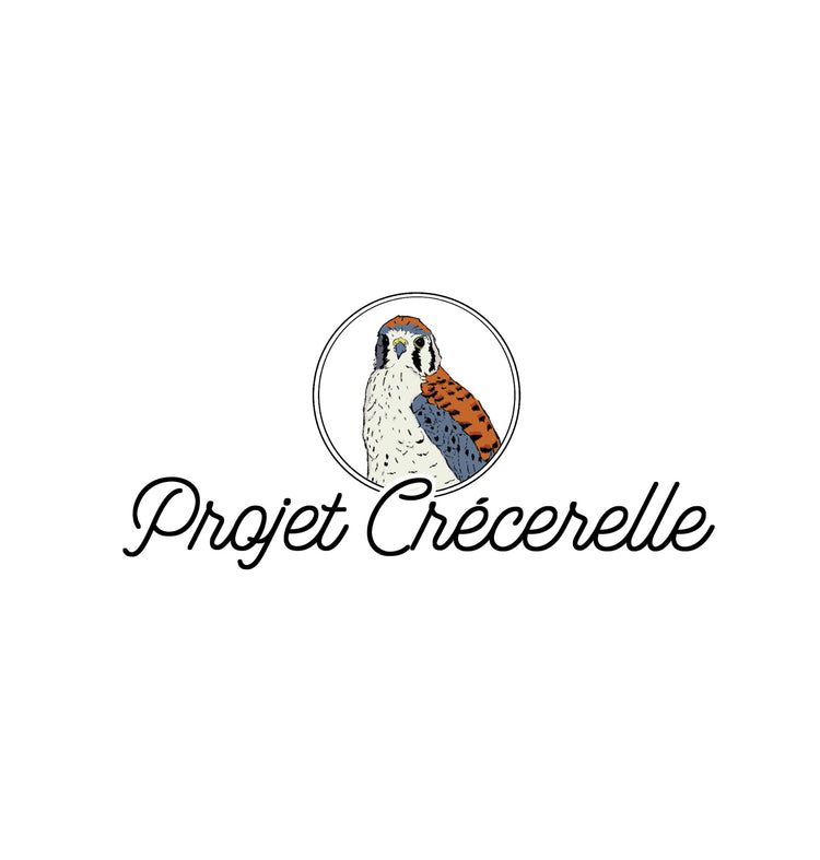Projet Crécerelle - DÉCAF