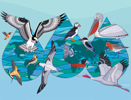 Migratory Bird Day 2023 visual / Visuel de La Journée mondiale des oiseaux migrateurs 2023