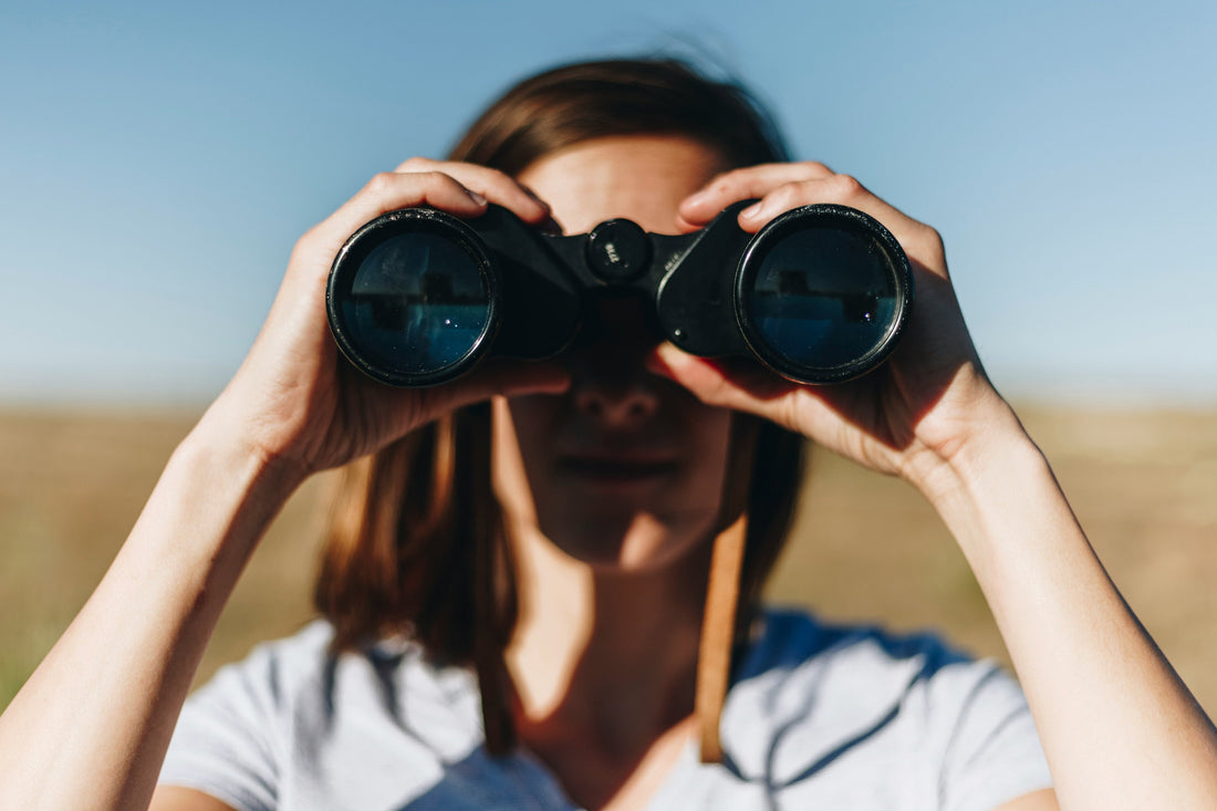 Every Bird Counts: How Your Observations Can Help Save Migratory Birds