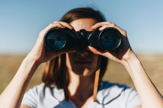 Every Bird Counts: How Your Observations Can Help Save Migratory Birds