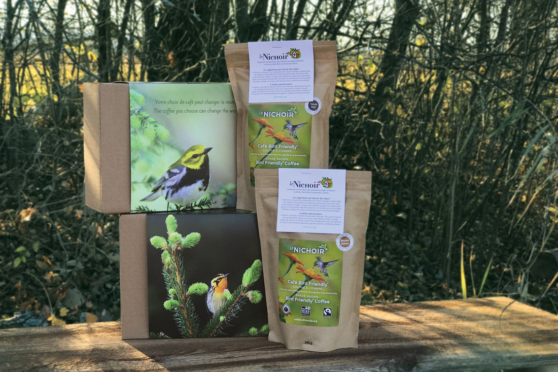 Two gift boxes with two coffee pouches